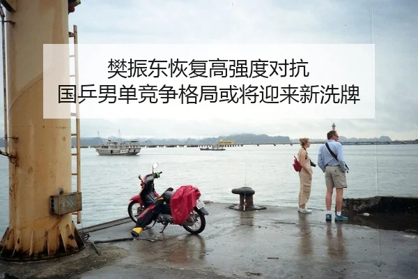 樊振东恢复高强度对抗 国乒男单竞争格局或将迎来新洗牌